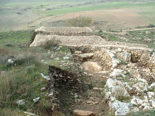 CASTRO DE MONTE CILD�